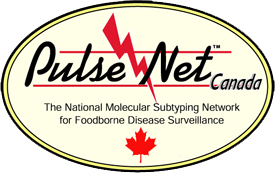 Canada logo