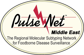 Middle East logo